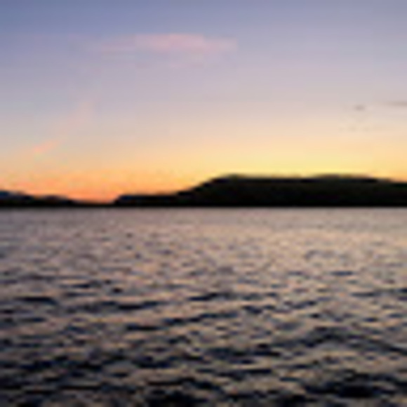 Meet your Posher, Sophia - Picture 1 of 1